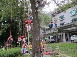 【資料照】攀樹是惠蓀林場夏令營的熱門課程