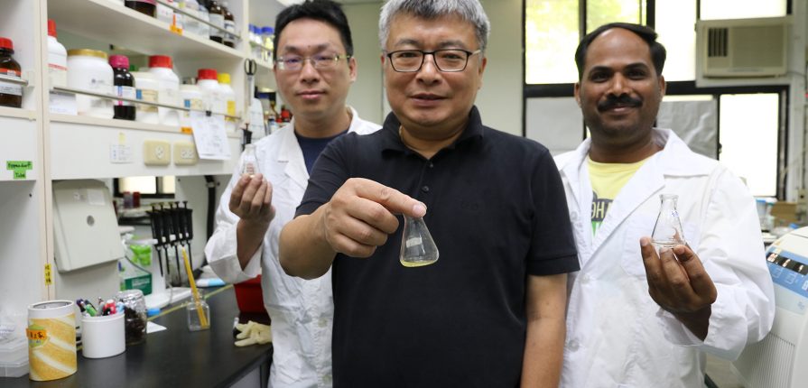 興大森林系研究天竺葵與檸檬精油可預防新冠肺炎病毒感染 國立中興大學秘書室