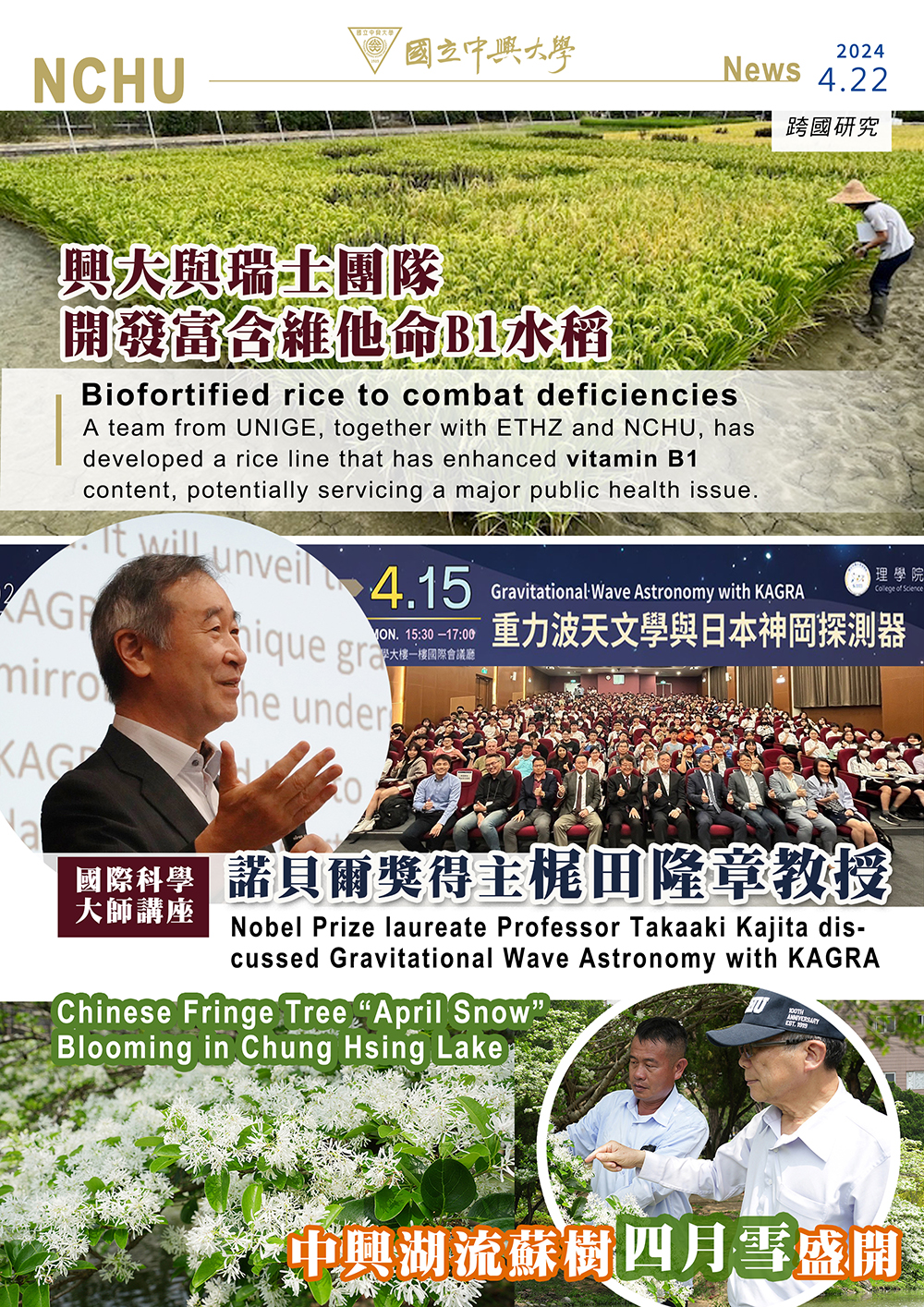 興大與瑞士團隊開發富含維他命B1水稻 有助防治營養缺乏症